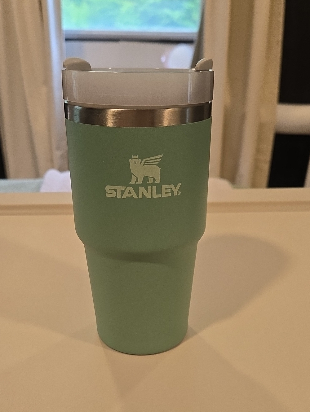 Stanley 20oz Eucalyptus